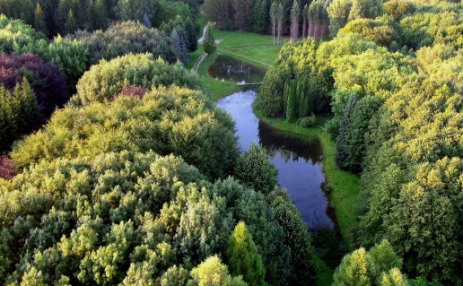 7_Girioniu parkas_K.Fedirkos foto.jpg